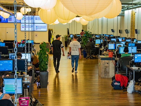 Employees walking within the Amigo office