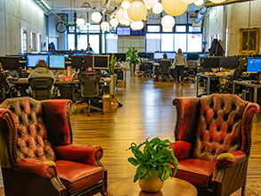 Chairs with a plant in the middle