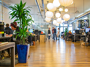 Desks with several plants to the side